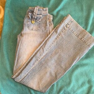 Wide Leg Low Rise Y2K Hydraulic Jeans